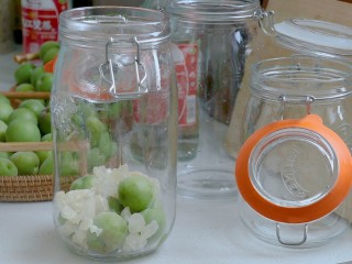 零失败的[青梅酒]和[青梅露]四月美食 