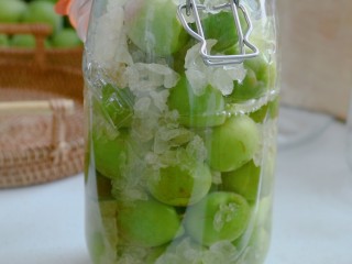 零失败的[青梅酒]和[青梅露]四月美食 